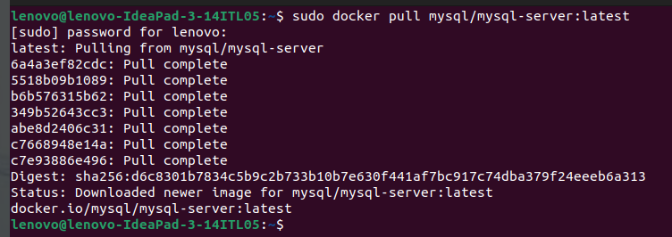 MySQL Docker Verification