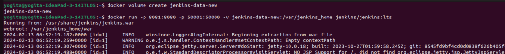 Jenkins setup using docker volume